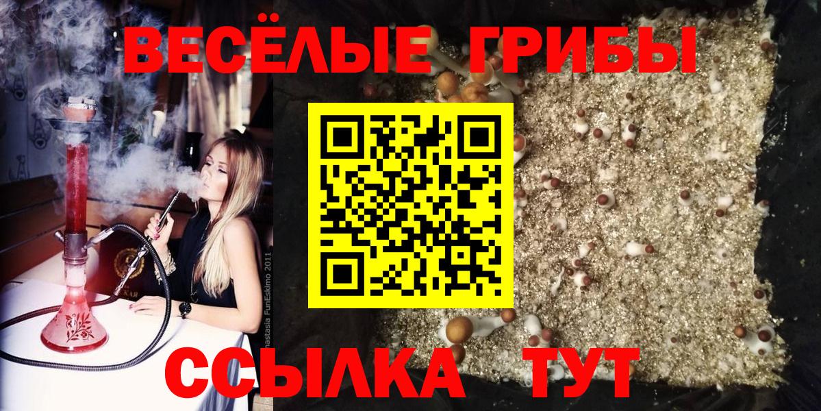 Псилоцибиновые грибы ЛСД Славгород